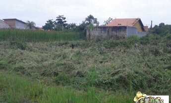 Imagem 3: Terreno balneário Sao Marcos