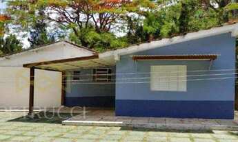 Imagem 4: Chácara - Peixe - Lindóia