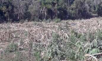 Imagem 6: Fazenda/Sítio/Chácara para venda em Cai de baixo - Quitandinha - Paraná