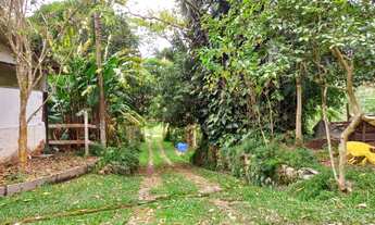 Imagem 5: Sítio em área rural com 20.000m² produzindo ovos, hortaliças, frutas etc..
