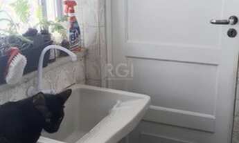 Imagem 5: Porto Alegre - Apartamento Padrão - Petrópolis