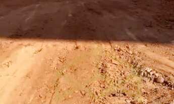 Imagem 2: Galpão - Macuco - Valinhos