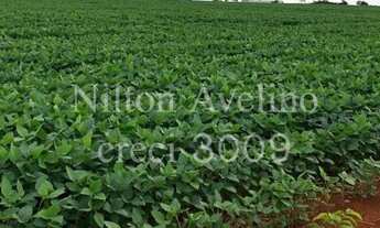 Imagem: Fazenda em lavoura 1000ha