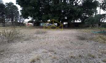 Imagem 3: Barracão - Cascata - Paulínia