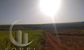 Imagem 7: Fazenda para Venda em Ipeúna, zona rural, 2 dormitórios, 2 banheiros