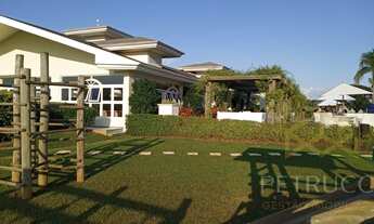 Imagem 5: Lote - Barreira - Arandu