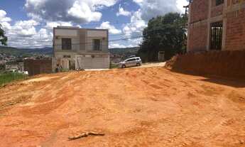 Imagem 5: Lote alto Ipiranga