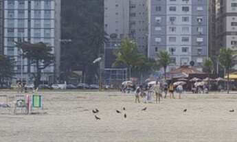 Imagem: Apartamento,1 dormitório suite armários