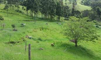 Imagem 4: Excelente TERRAS em Gonçalves- MG - RURAL - Região Turística