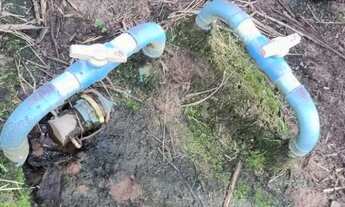 Imagem 2: Vende uma excelente fazenda com pés de coco