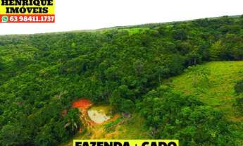 Imagem 7: Fazenda 216 hectares em Luzimangues