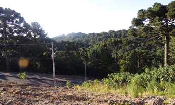 Imagem 5: Terreno à venda, 450 m² por R$ 340.000,00 - Dutra - Gramado/RS