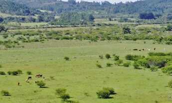 Imagem 6: Lote/terreno à venda em Viamão