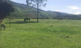 Imagem 5: Fazenda com 3 dormitórios à venda, 12 alqueires- Casimiro de Abreu/RJ