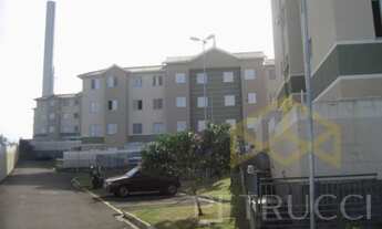 Imagem: Apartamento - Cidade Satélite Íris - Campinas