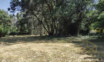 Imagem 3: área - Sítio Recreio dos Cafezais - Valinhos