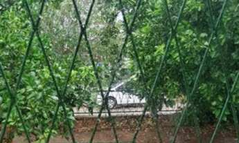 Imagem 4: Porto Alegre - Casa Padrão - Cavalhada