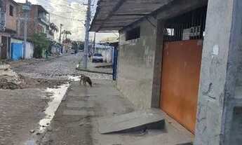 Imagem 2: Galpão em torrões próximo a UPA