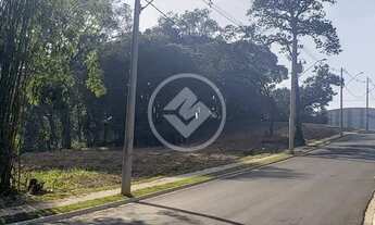 Imagem 5: Terreno de 420 m2 à venda no bairro Pinheirinho codigo: 25982