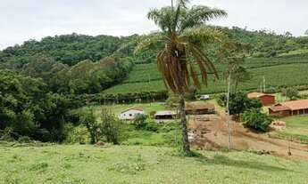 Imagem: Sítio em Minas Gerais - 11Alqueire - Troco