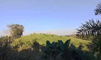 Imagem 3: Vendo excelente sítio de 10 alqueires em Iguape-SP