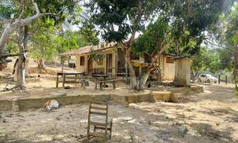 Imagem: Terra 5 alqueires na beira do asfalto! pega