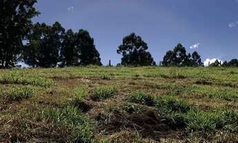 Imagem 7: LOTES NO INTERIOR DE SÃO PAULO - SUPER PROMOÇÃO - NÃO PERCA!