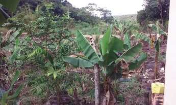 Imagem 7: Fazenda/Sítio/Chácara para venda com 21 Alqueires Ptª - Juquiá - SP