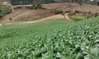 Imagem 7: Venda-se Chácara em PEDRA AZUL em Arrace/ES