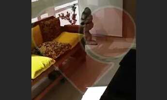 Imagem 3: Apartamento para venda possui 89 metros quadrados com 3 qts