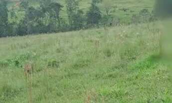 Imagem 2: Alugo está chácara