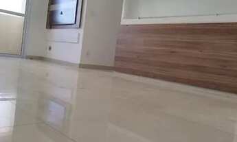 Imagem 3: SãO PAULO - Padrão - Campo Grande