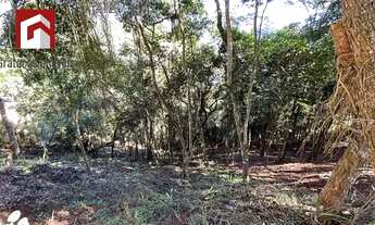 Imagem 2: Petrópolis - Terreno Padrão - Corrêas