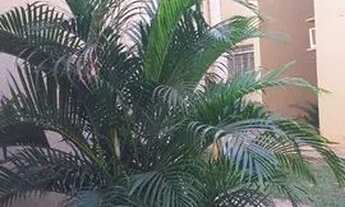 Imagem 7: Apartamento condomínio porto do sol