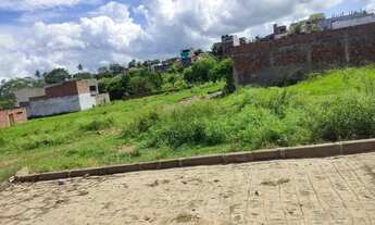 Imagem 2: Terreno em lagoa de itaenga no loteamento Mario pinto