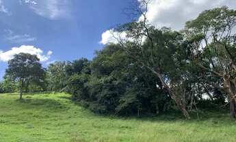 Imagem 5: LP - Vendo terreno amplo