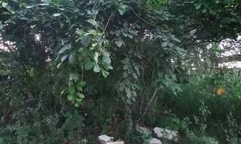 Imagem: Aldeia - aluguel em condomínio na pista