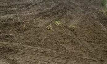 Imagem 3: Vendo terreno de chácara parcelamento direto