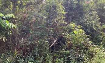 Imagem 4: Nova Lima - Loteamento/Condomínio - Jardins De Petrópolis