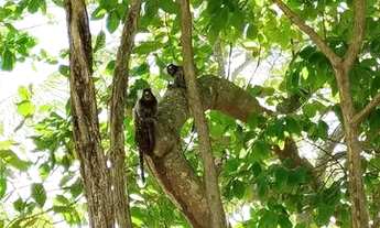 Imagem 6: Linda casa na praia de Barreta ?Aparti de final de semana!!!