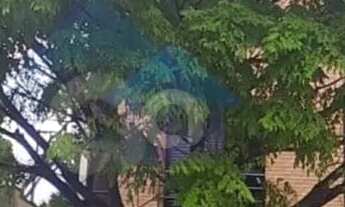 Imagem: STUDIO MOBILIADO /OTIMA LOCALIZAÇÃO /VILA