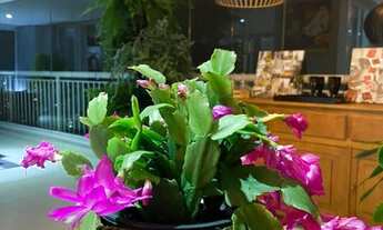 Imagem 3: Apartamento para aluguel e venda tem 260 metros quadrados com 3 quartos