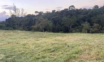 Imagem: CHÁCARAS LUXO EM MURIBECA