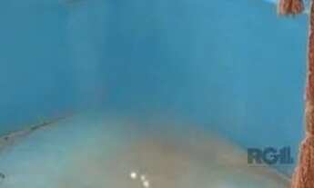 Imagem 4: Casa com 3 dormitórios e amplo pátio com grama