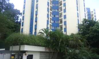 Imagem 3: Apartamento para aluguel possui 55 metros quadrados com 2 quartos em Vila Indiana - São Pa