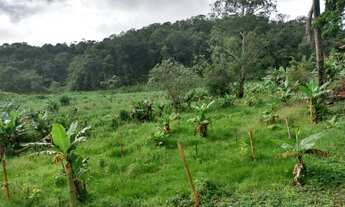 Imagem 4: Fazenda/Sítio/Chácara para venda com 21 Alqueires Ptª - Juquiá - SP