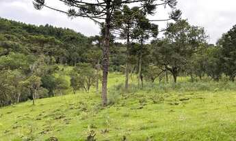 Imagem 5: Fazenda/Sítio/Chácara/Terreno à venda em Urubici/SC