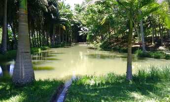 Imagem 5: Terreno Lote Chácara Fazenda Condomínio Rural