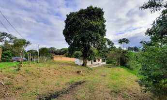 Imagem 4: Sítio 5100 metros em Suzano