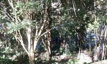 Imagem: Terreno à Venda - Bairro Riacho Grande